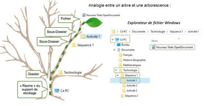 Exemple arborescence