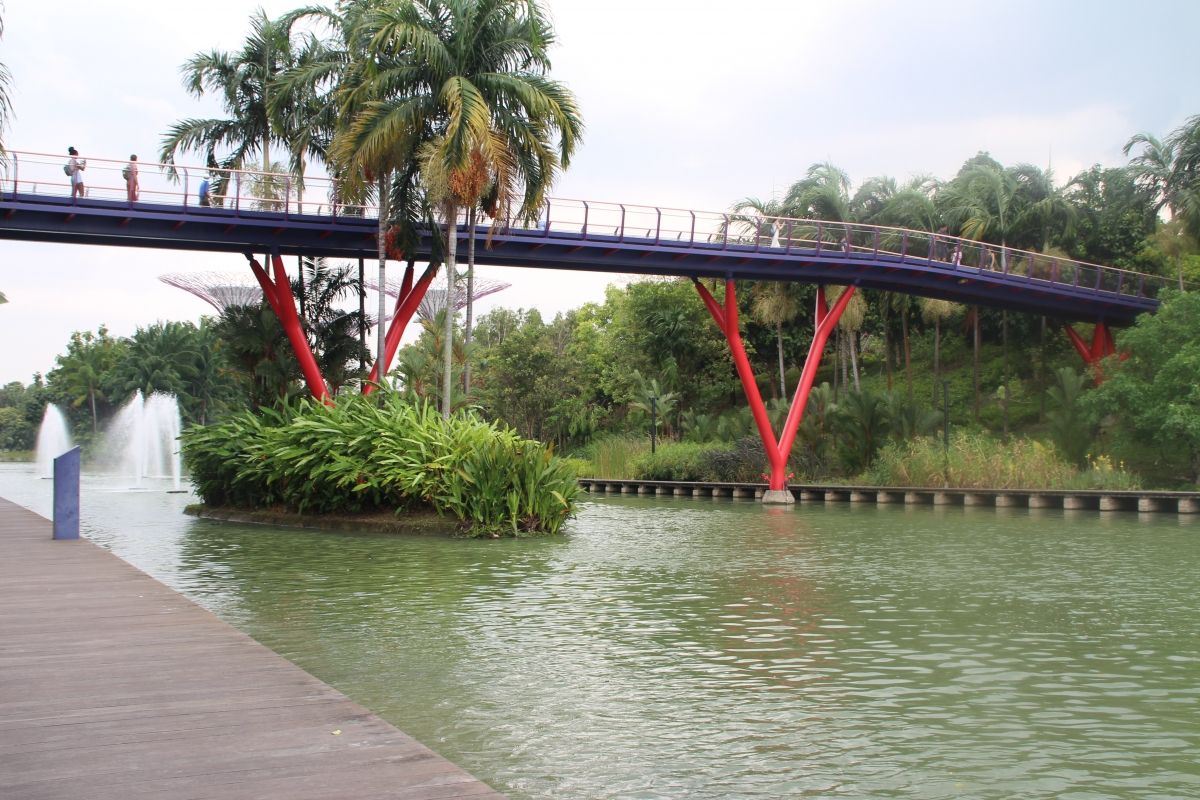 Dragon Fly Bridge