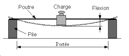 Schema du protocole experimental